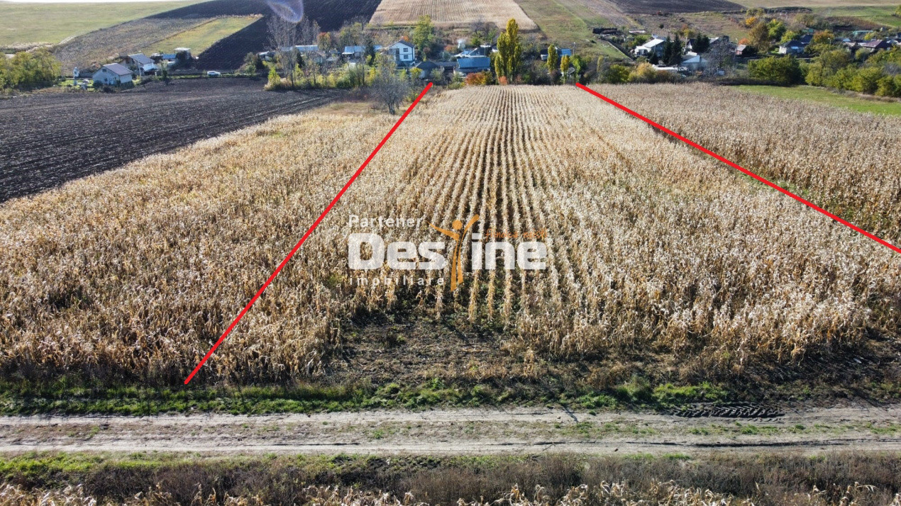 Teren intravilan 7500 mp zona de case utilitati in proximitate, loc. Cosițeni 