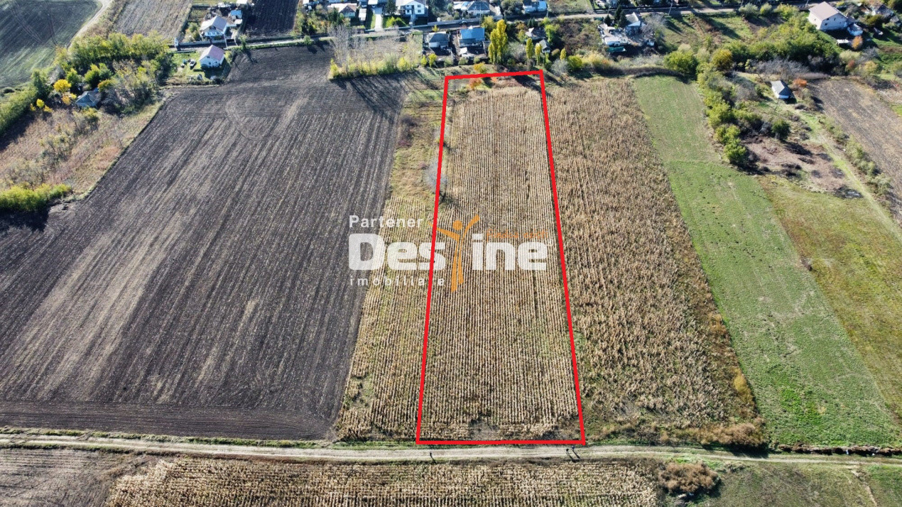 Teren intravilan 7500 mp zona de case utilitati in proximitate, loc. Cosițeni 