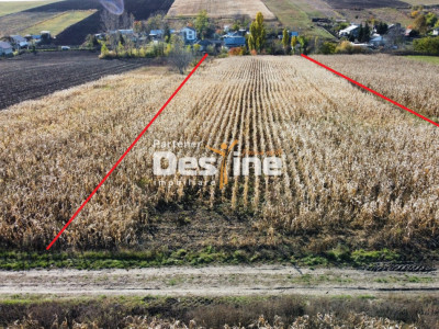 Teren intravilan 7500 mp zona de case utilitati in proximitate, loc. Cosițeni 