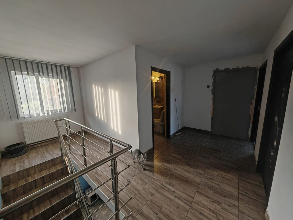 Constructie S+P+1E+M si teren generos 2014 mp, I.L. Caragiale, Dambovita