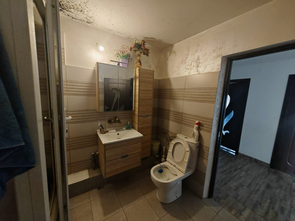 Constructie S+P+1E+M si teren generos 2014 mp, I.L. Caragiale, Dambovita