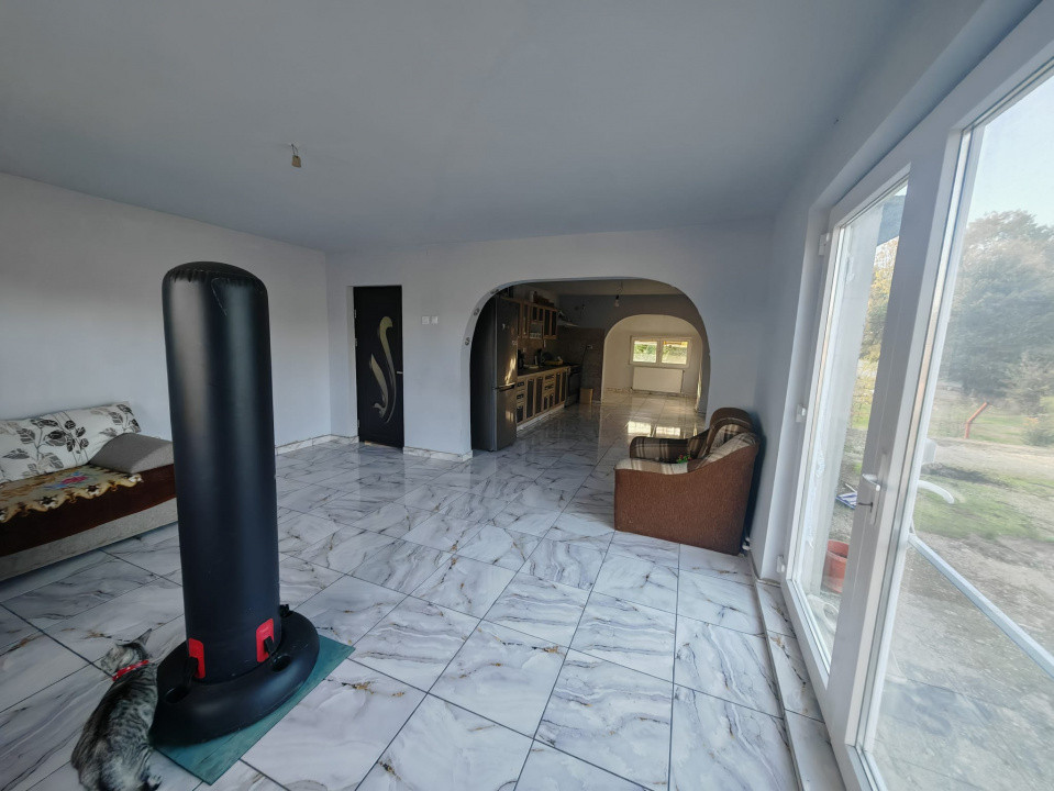 Constructie S+P+1E+M si teren generos 2014 mp, I.L. Caragiale, Dambovita