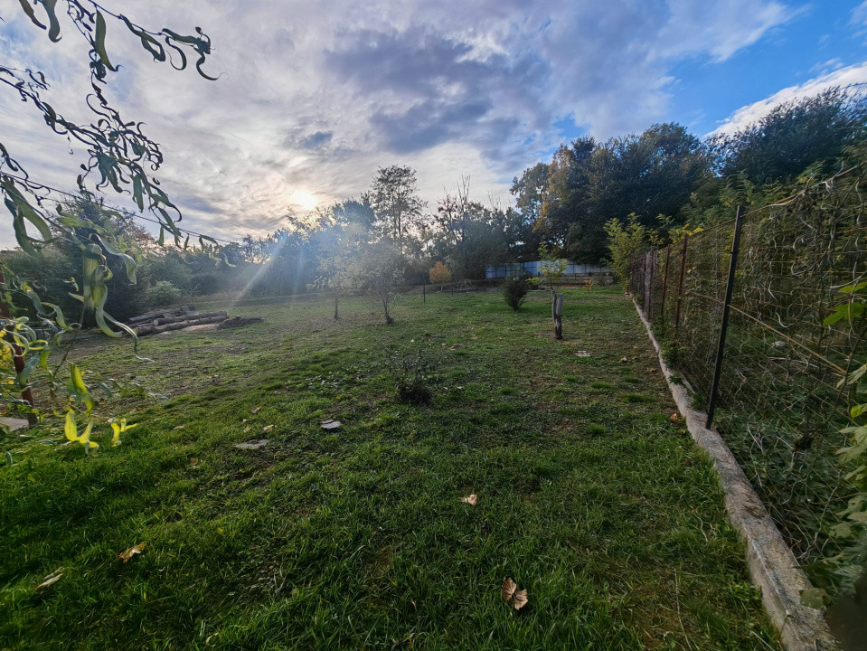 Constructie S+P+1E+M si teren generos 2014 mp, I.L. Caragiale, Dambovita