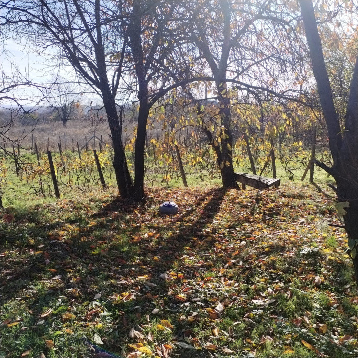 900 mp teren intravilan, comuna Schitu Duca