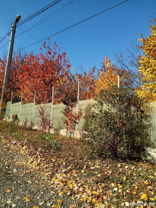 Teren intravilan 500 mp Rediu la 150 ml de soseaua principala.