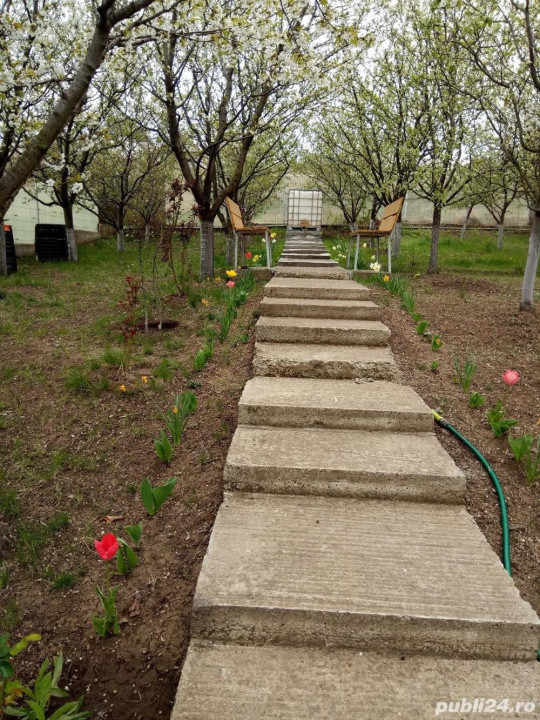 Teren intravilan 500 mp Rediu la 150 ml de soseaua principala.