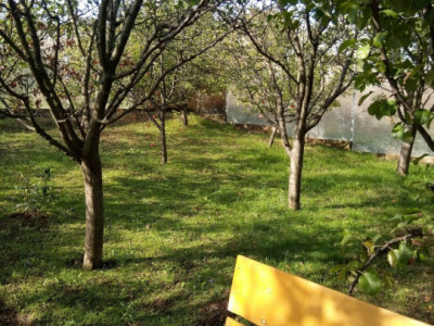 Teren intravilan 500 mp Rediu la 150 ml de soseaua principala.