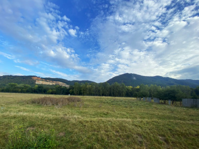 Teren intravilan 13 820 mp, cu acces pe un drum asfaltat, regim de inaltime P+6