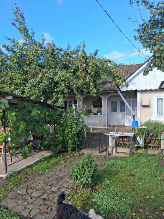 Casa si teren 2000mp Draguseni