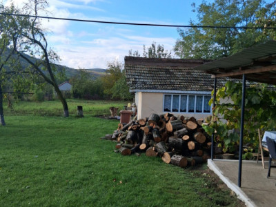 Casa si teren 2000mp Draguseni