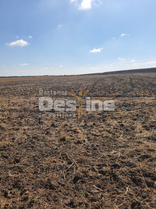 TEREN  EXTRAVILAN 7.802 mp –DOMNESTI, ILFOV