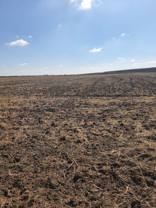 TEREN  EXTRAVILAN 7.802 mp –DOMNESTI, ILFOV