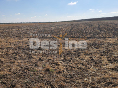 TEREN  EXTRAVILAN 7.802 mp –DOMNESTI, ILFOV