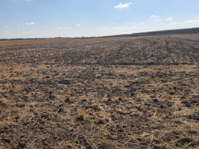 TEREN  EXTRAVILAN 7.802 mp –DOMNESTI, ILFOV