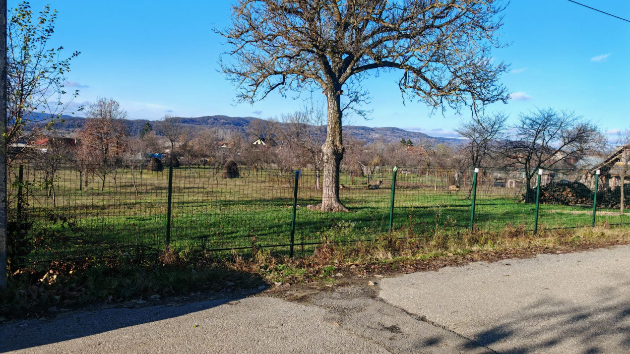 Teren de vânzare – 2.550 mp, poziție excelentă, Stâlpeni (zona centrală), jud AG