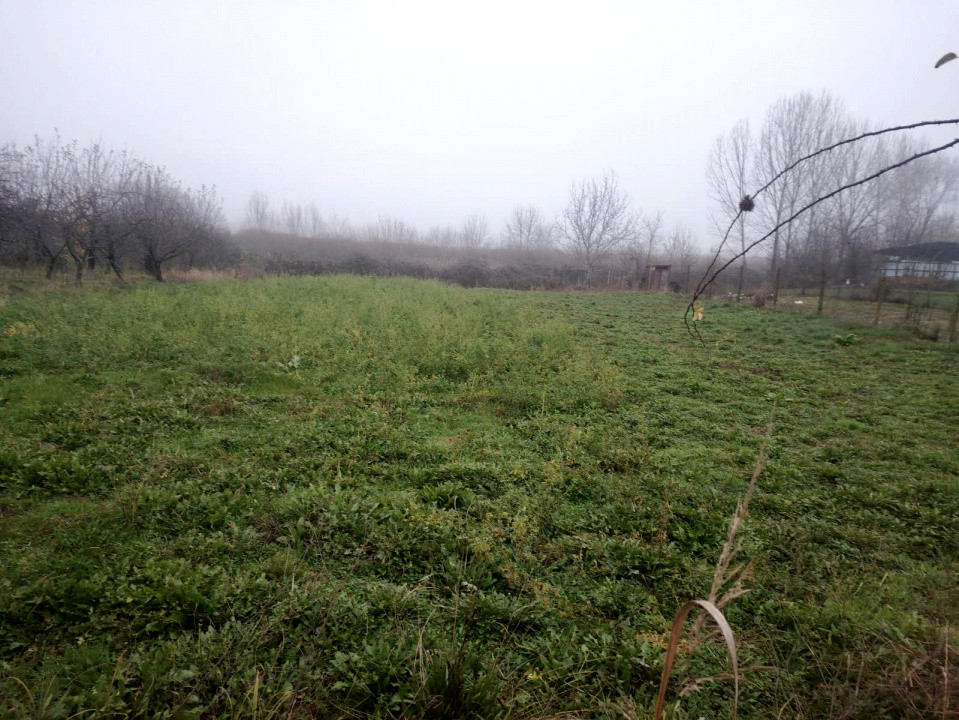 Proprietate multifuncțională cu potențial rezidențial și comercial