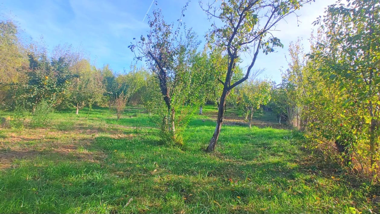 Proprietate cu 2 corpuri de locuinta, Baicoi