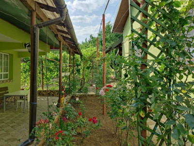 Proprietate cu 2 corpuri de locuinta, Baicoi