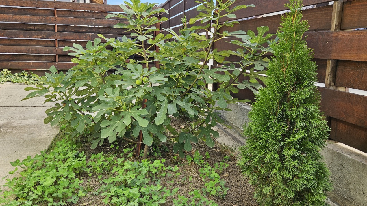 Casa ta, caminul tau – 4 camere decomandate, constructie 2021