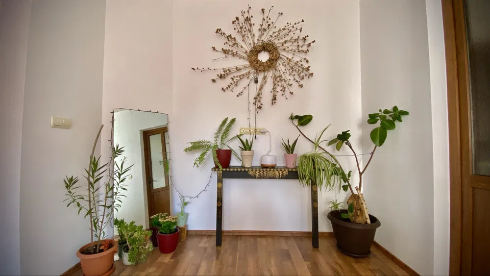 Apartament cu 2 camere la casa, Pet Friendly, situat central - pe Strada Lunga