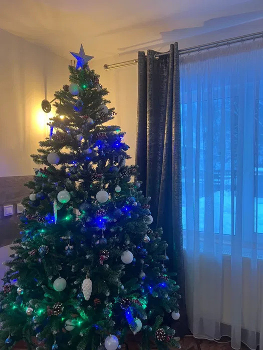 OFERTA LAST MINUTE! Pensiune 6 camere Moeciu de Sus disponibila pentru REVELION