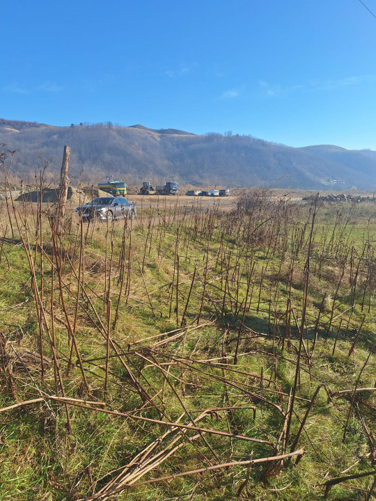 Oportunitate investiție | Teren 2400 mp – Dărmănești, acces la drum