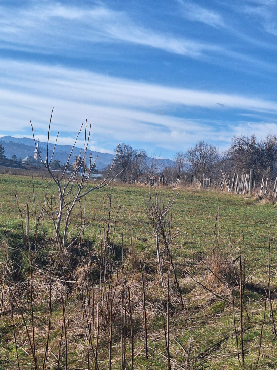 Oportunitate investiție | Teren 2400 mp – Dărmănești, acces la drum