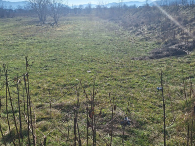 Oportunitate investiție | Teren 2400 mp – Dărmănești, acces la drum