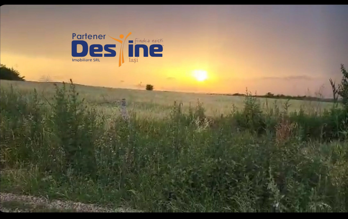 TEREN INTRAVILAN 10.000 MP, CATAMARESTI DEAL, BOTOSANI