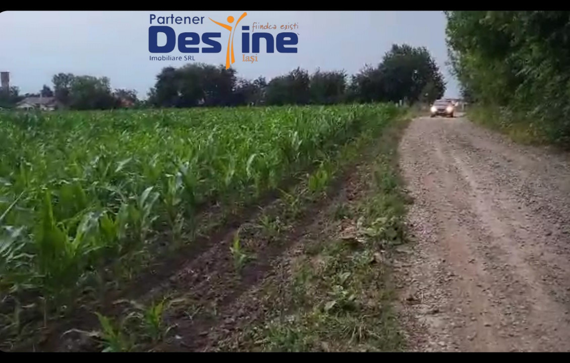 TEREN INTRAVILAN 10.000 MP, CATAMARESTI DEAL, BOTOSANI