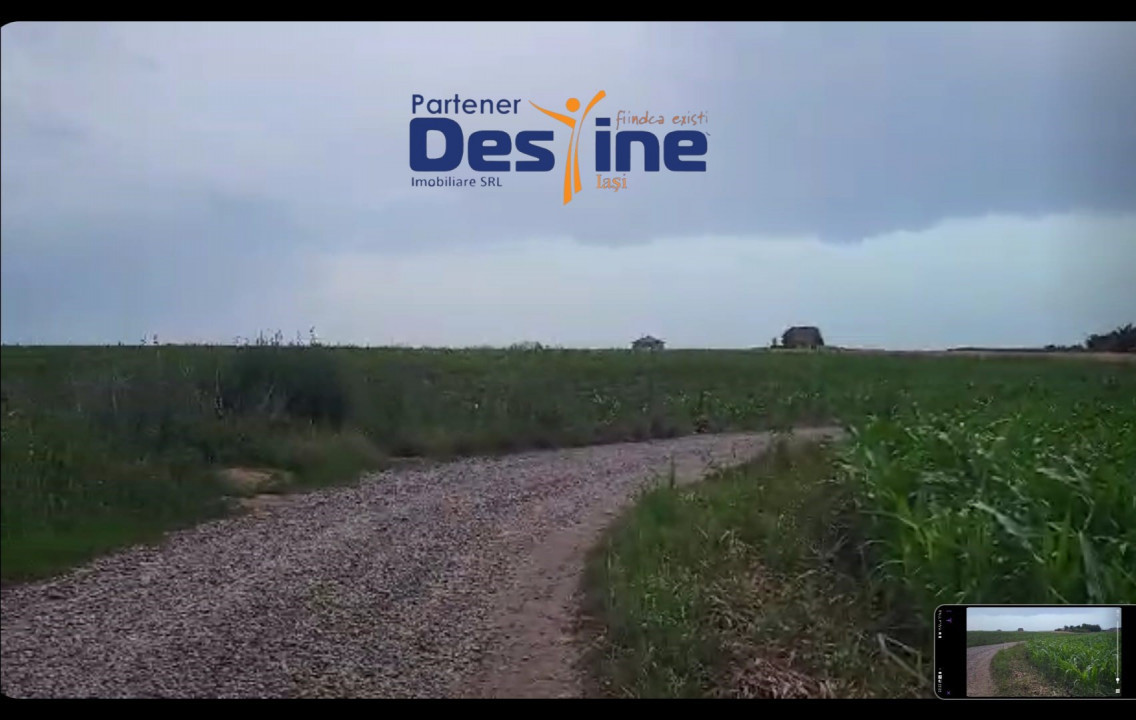 TEREN INTRAVILAN 10.000 MP, CATAMARESTI DEAL, BOTOSANI