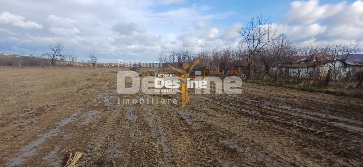 Teren intravilan 1925 mp cu certificat de urbanism si utilitati Mogosesti