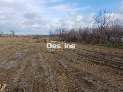 Teren intravilan 1925 mp cu certificat de urbanism si utilitati Mogosesti