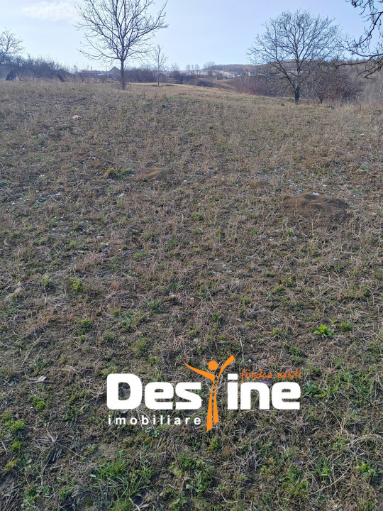 COMISION 0% - Teren intravilan 2091 mp, Mogosesti, Iasi