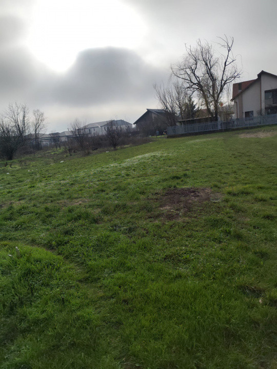 TEREN DE VANZARE DOMNESTI, 600 mp