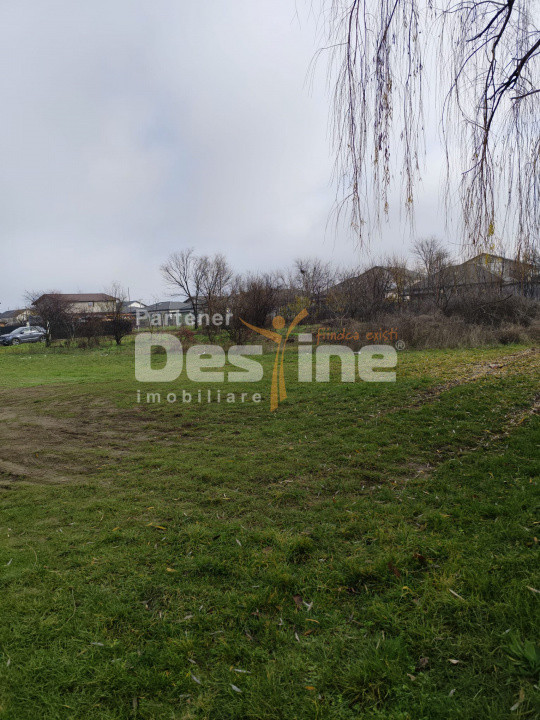 TEREN DE VANZARE DOMNESTI, 600 mp