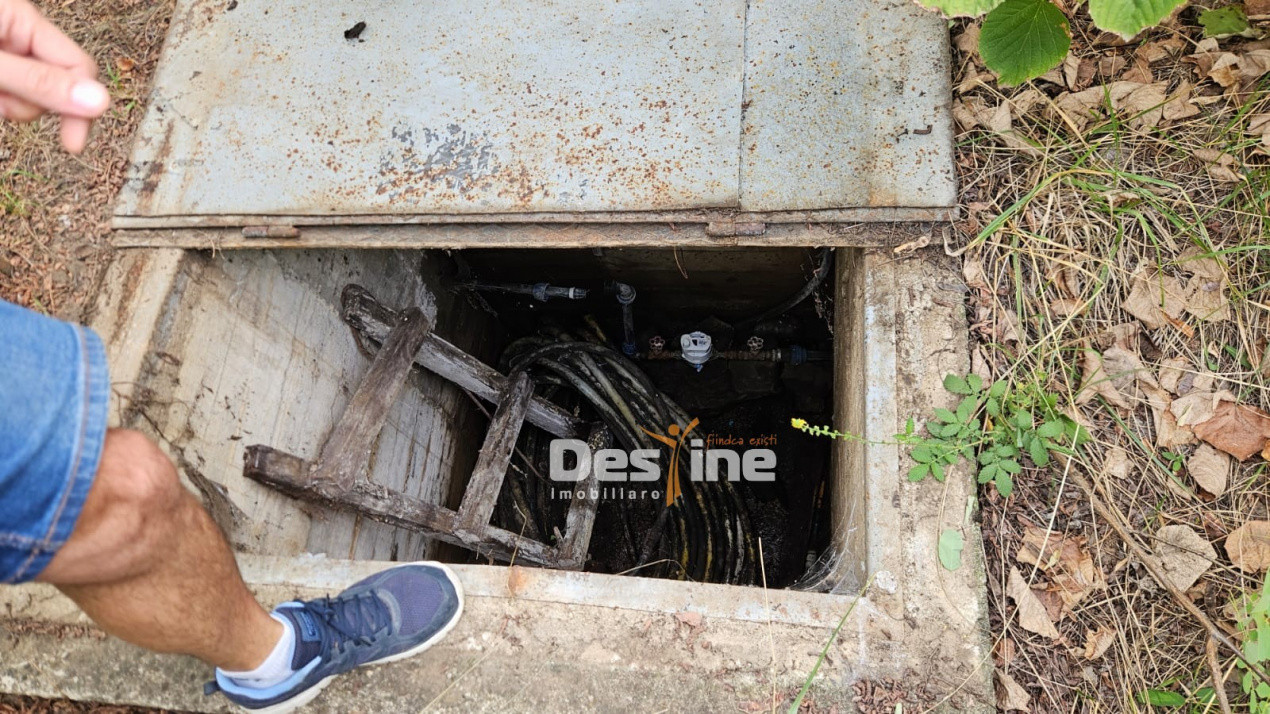 Tomesti-Chicerea, teren intravilan  3523 mp