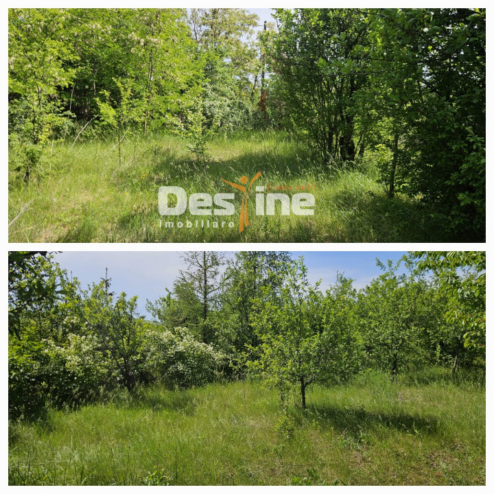 Tomesti-Chicerea, teren intravilan  3523 mp