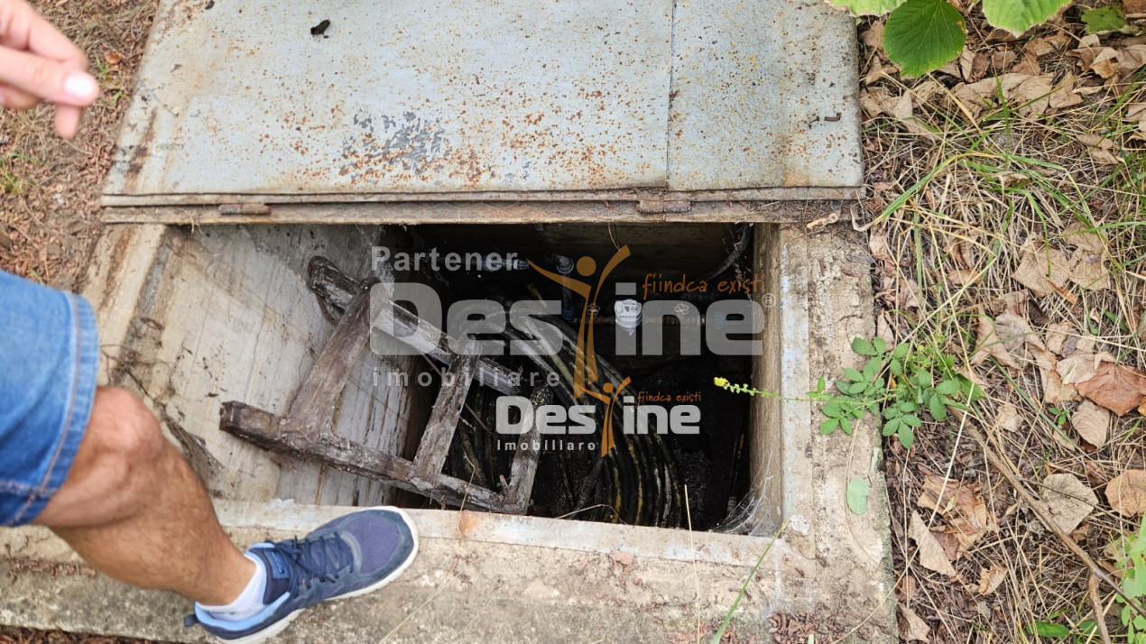 Tomesti-Chicerea, teren intravilan  3523 mp