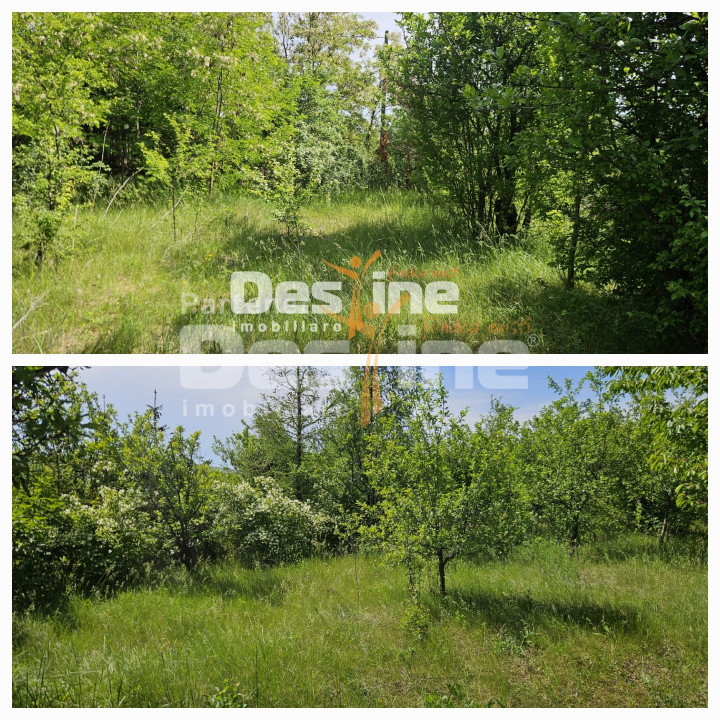 Tomesti-Chicerea, teren intravilan  3523 mp