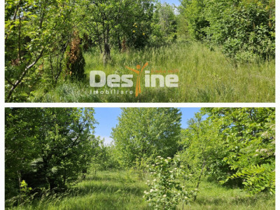 Tomesti-Chicerea, teren intravilan  3523 mp