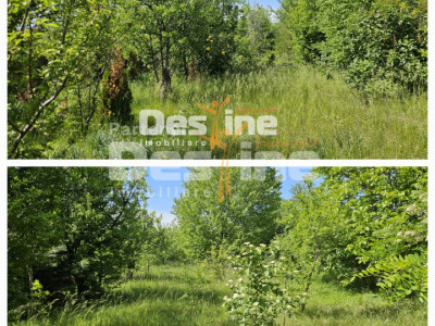 Tomesti-Chicerea, teren intravilan  3523 mp