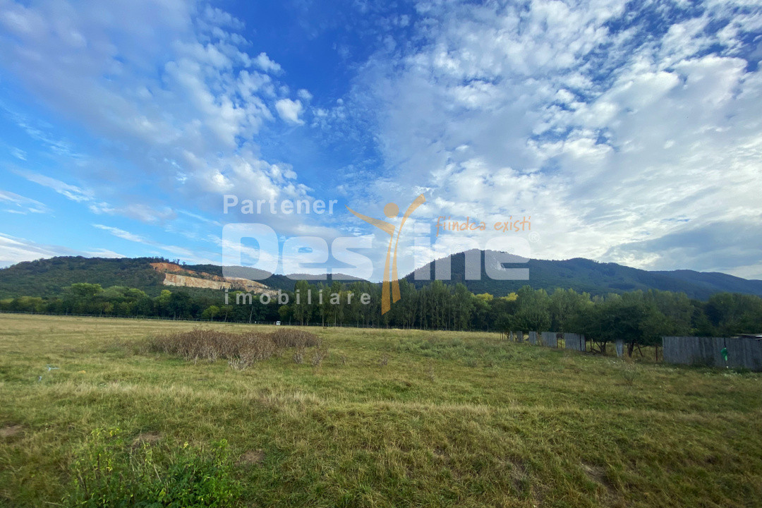 Teren intravilan 13 820 mp, cu acces pe un drum asfaltat, regim de inaltime P+6