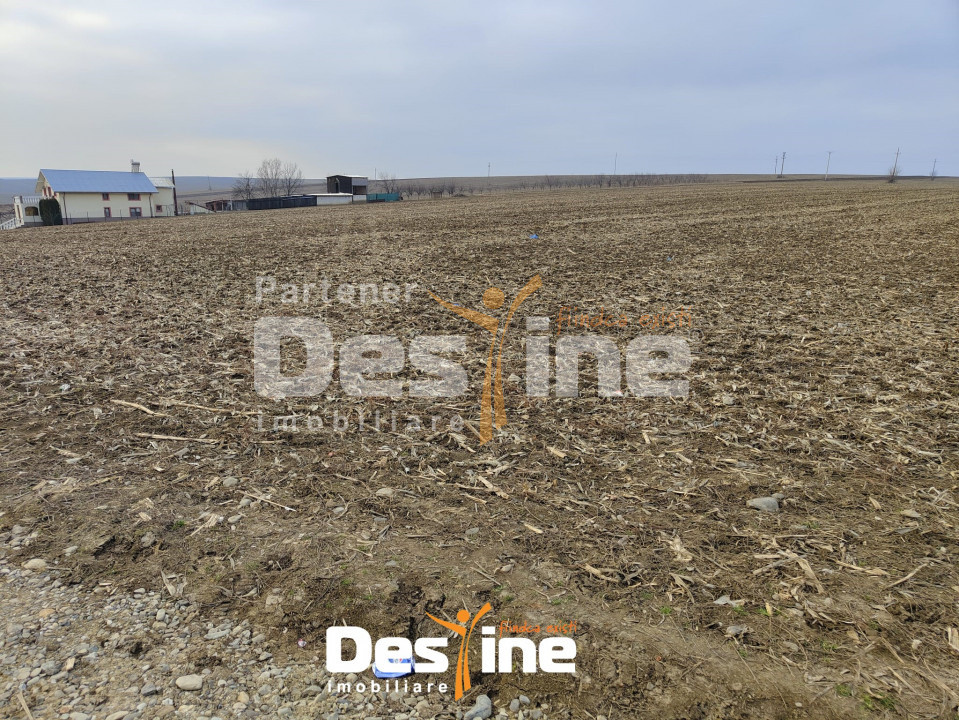 Teren Primarie Dumesti, 8100 mp, front 13 ml, 