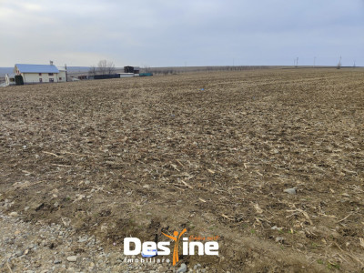 Comision 0% - Teren Primarie Dumesti, 8100 mp, front 13 ml, 