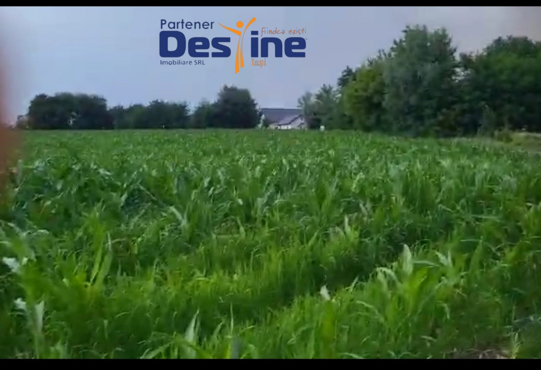 Comision 0%, TEREN INTRAVILAN 10.000 MP, CATAMARESTI DEAL, BOTOSANI