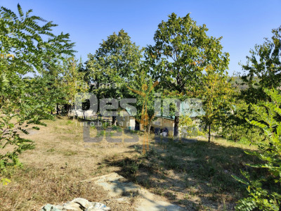 Casă lângă PĂDURE + anexe + 6400 mp TEREN intravilan - sat HĂRPĂȘEȘTI
