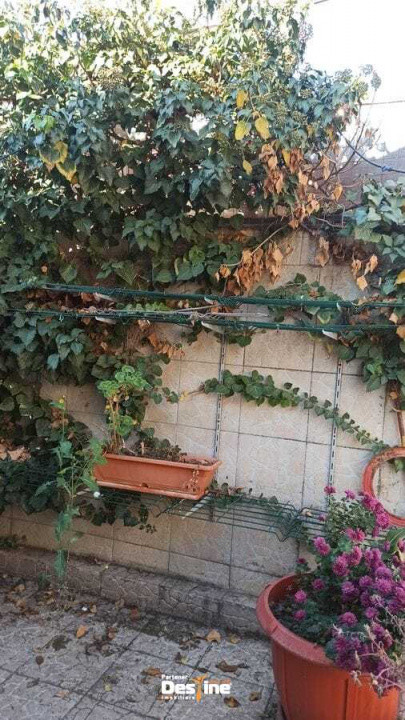 Casa individuala + curte proprie P+1+M, zona Panduri/Drumul Sarii