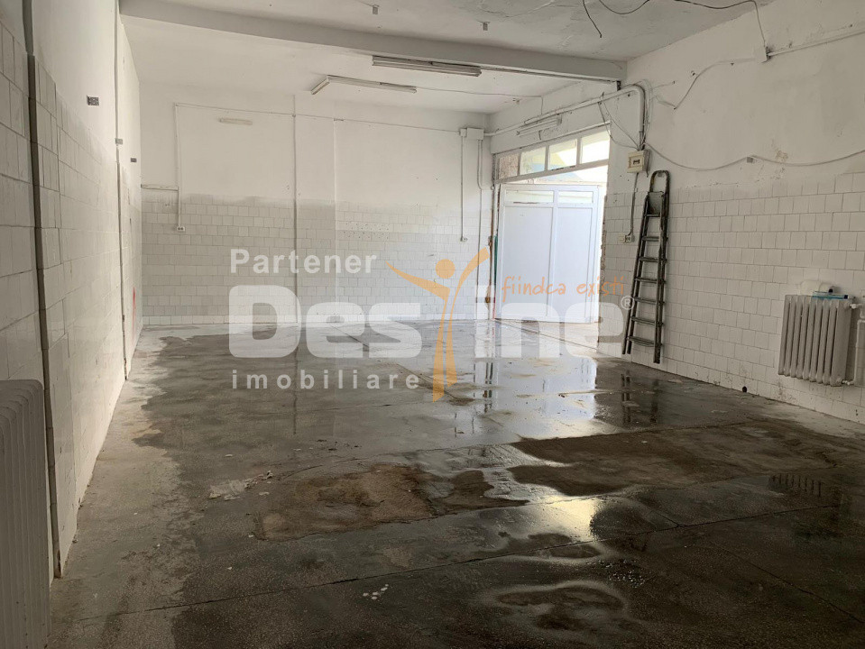  Oportunitate Investiție – Depozit + Casă + Curte | Ideal  Afacere și Locuit