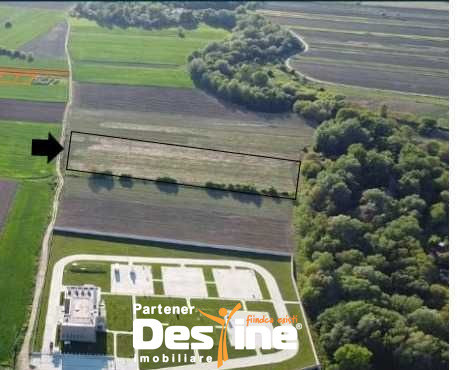 Teren intravilan 7567mp, certificat de urbanism, Magurele